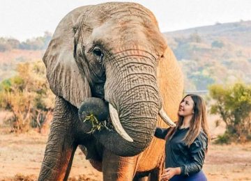 משלחת התנדבות עם ישראלים במקלט לחיות בר, דרום אפריקה – ינואר 2019