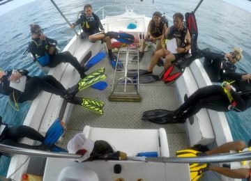 סיישל – צלילה ומחקר ימי