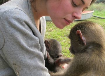 דרום אפריקה – מרכז שיקום לקופים וחיות בר