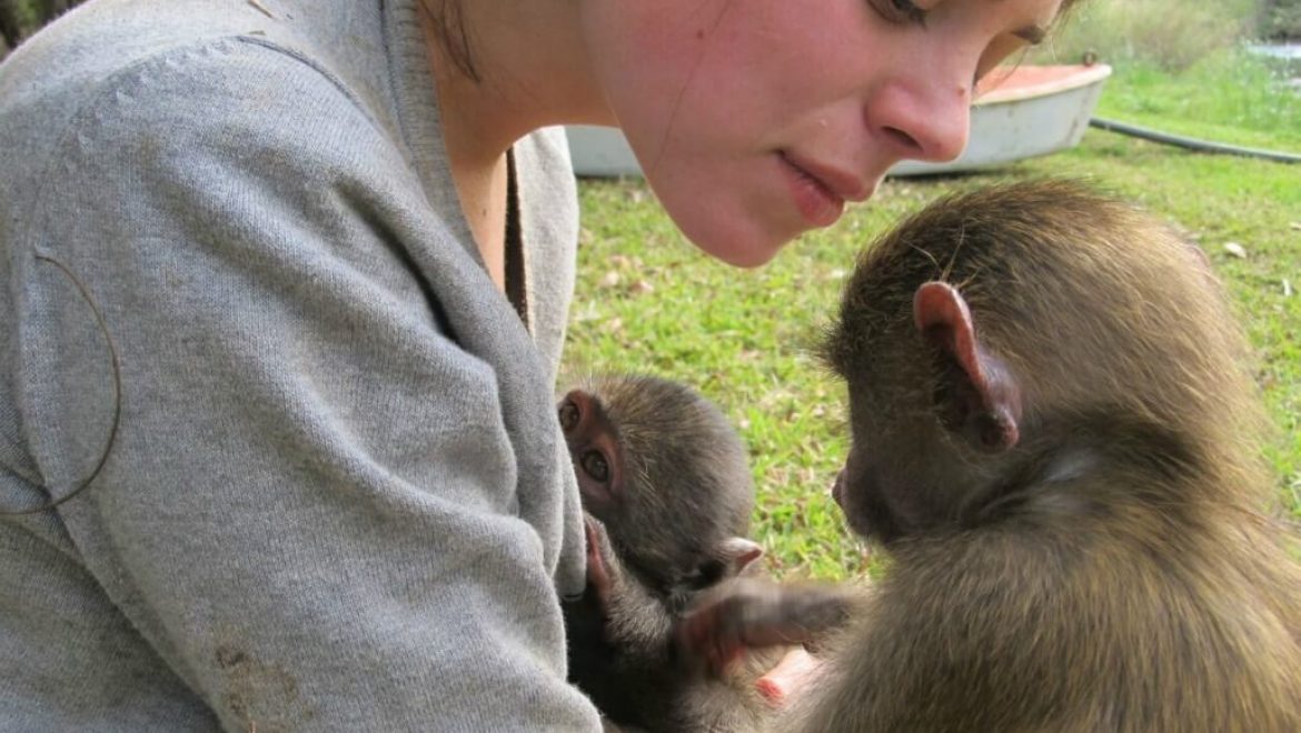דרום אפריקה – מרכז שיקום לקופים וחיות בר