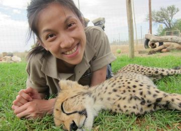 דרום אפריקה – בית מחסה לחיות בר ממשפחת החתוליים