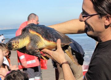 ספרד – שימור סביבה באזור ולנסיה