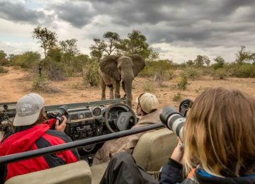 דרום אפריקה – צילום חיי הבר ושימור סביבה בפארק קרוגר