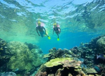 פיג'י – צלילה ושימור סביבה בפיג'י