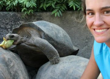 אקוודור – שימור צבי ענק באיי גלאפגוס