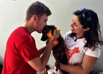 מקסיקו – טיפול בבעלי חיים וסיוע וטרינרי